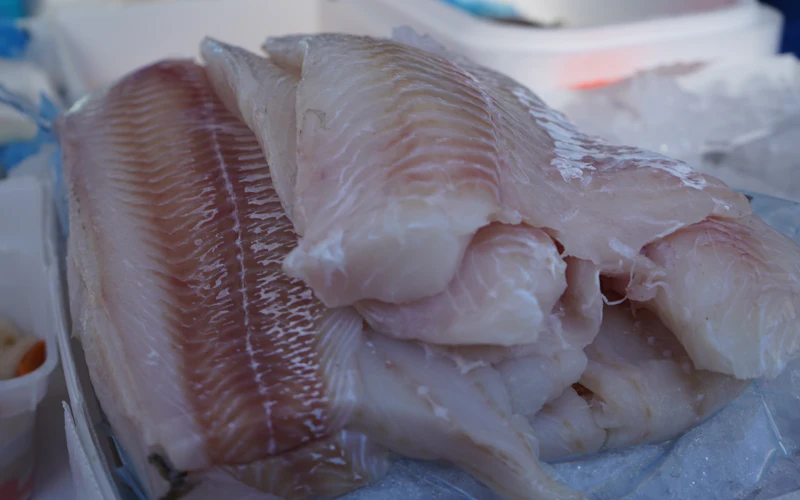 Pangasius